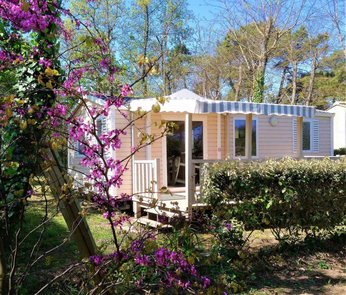 Slow Village Marennes Oleron Bagian luar foto